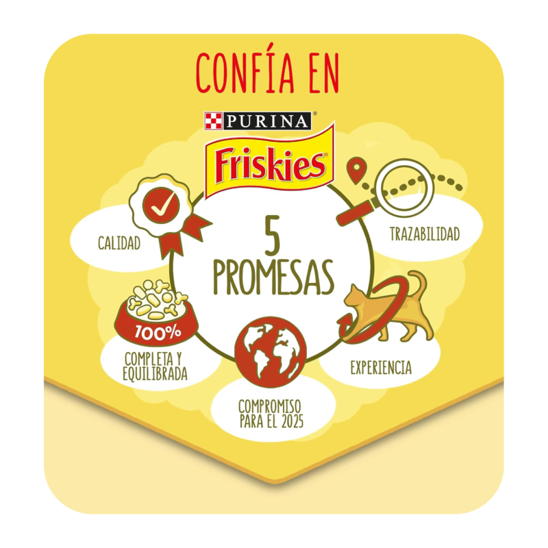 Purina Friskies Croquettes pour Chat Adulte 5 promies 4kg